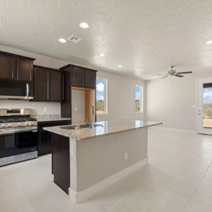 11-web-or-mls-3009-Ash