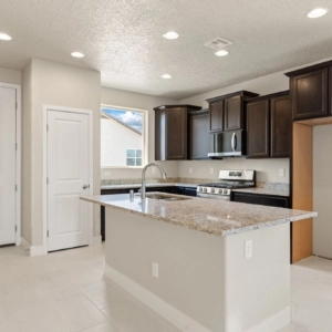 9-web-or-mls-3009-Ash