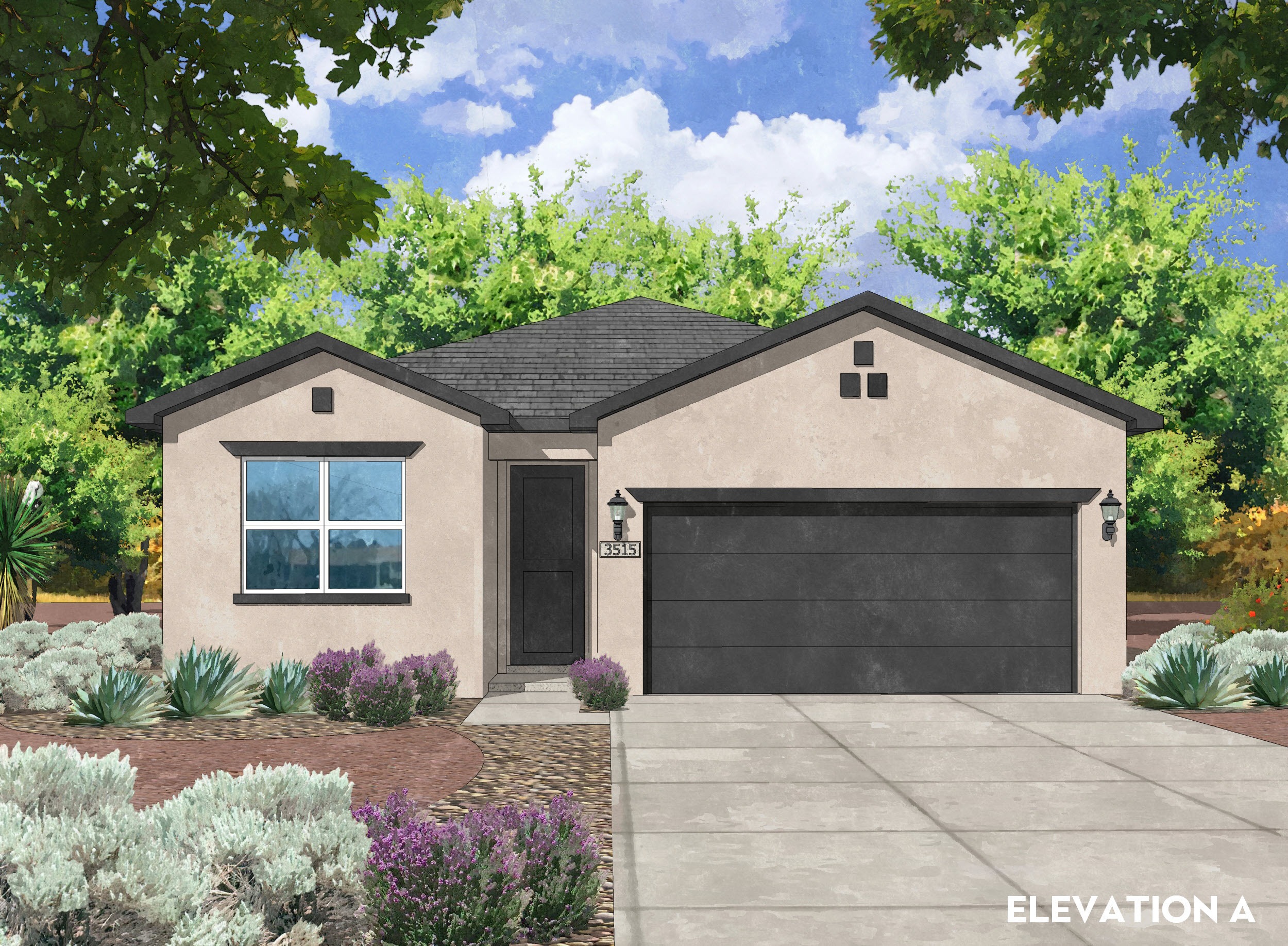 Featured image for “The Socorro”