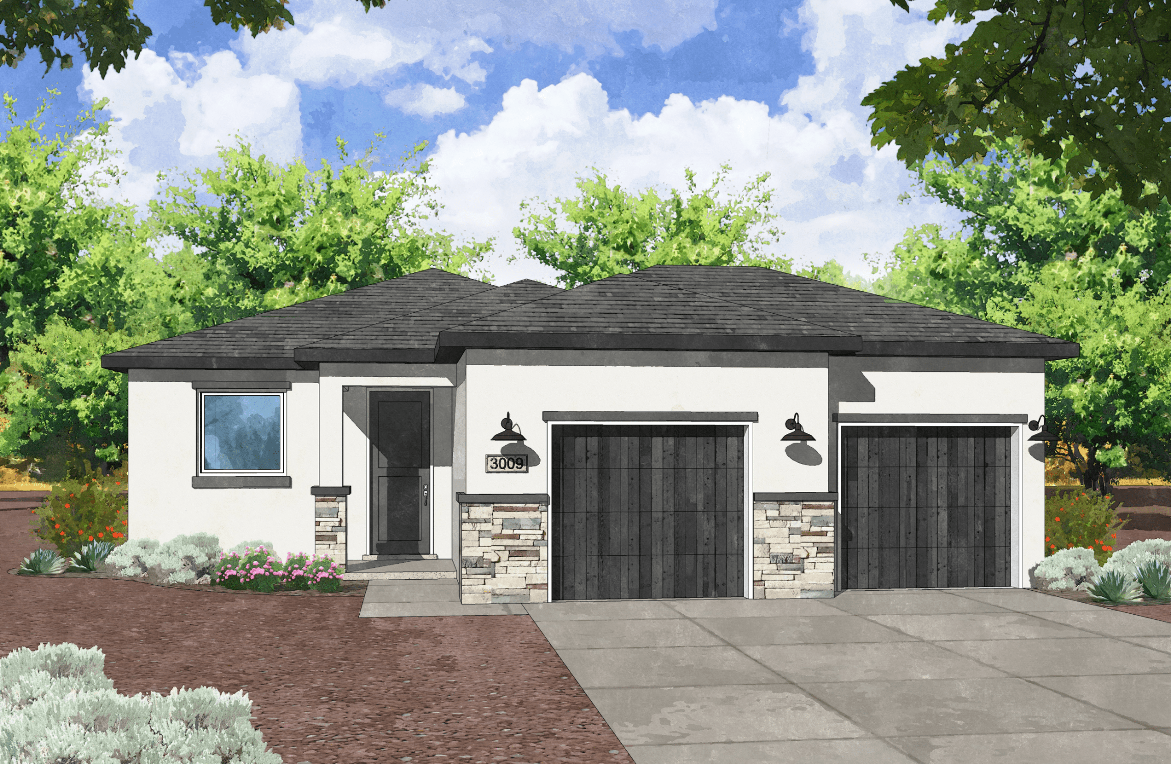 Featured image for “The Ash”