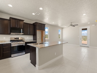 11-web-or-mls-3009-Ash
